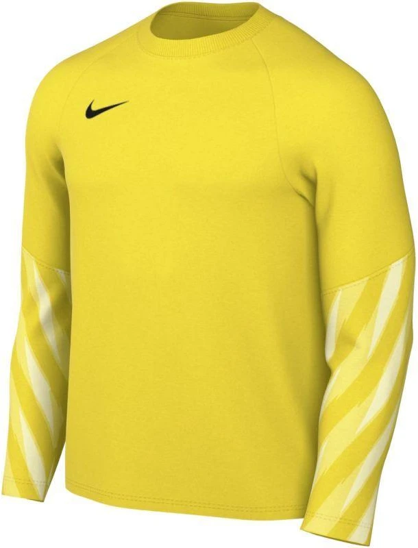 Nike Dri-Fit Park V Stadium Vyriški marškinėliai Geltoni HV8314 718