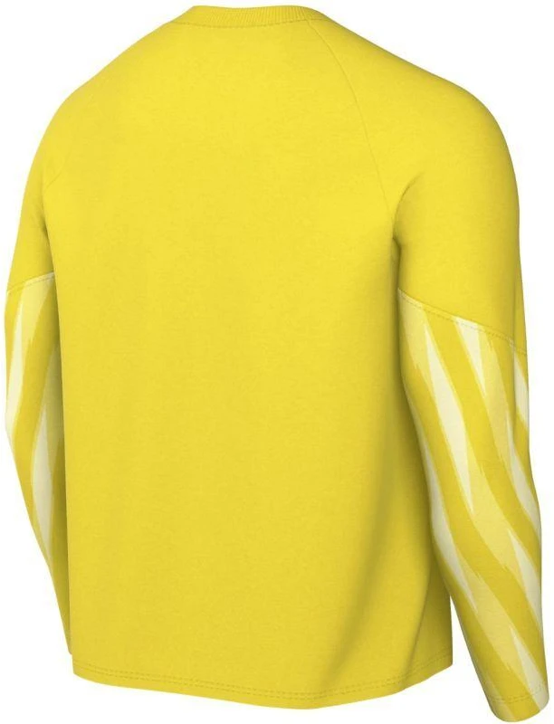Nike Dri-Fit Park V Stadium Vyriški marškinėliai Geltoni HV8314 718