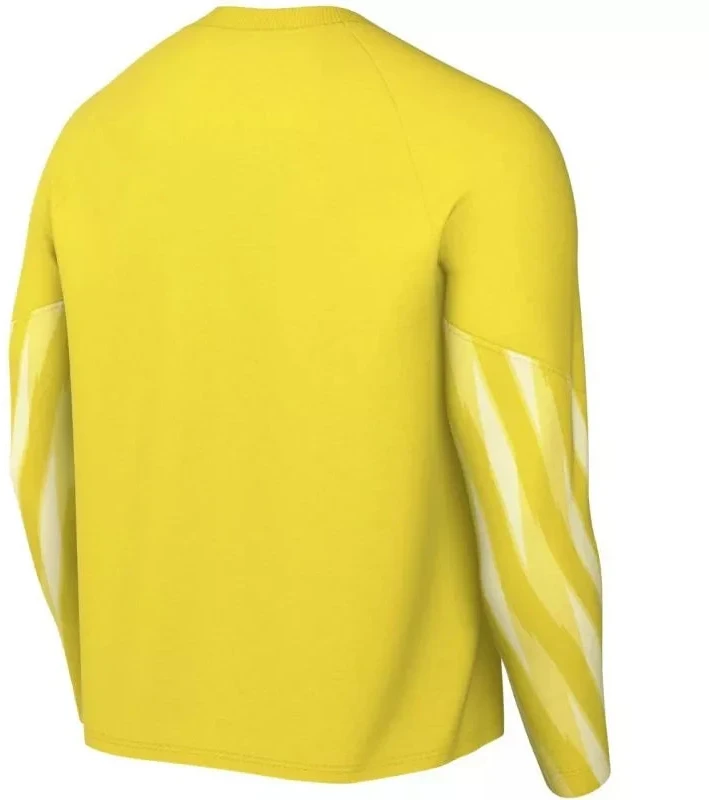 Nike Dri-Fit Park V Stadium Vyriški marškinėliai Geltoni HV8314 718