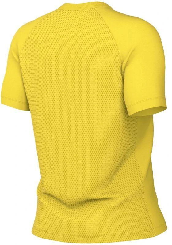 Nike Dri-Fit Park VIII Moteriški Marškinėliai Geltoni HV8178 719