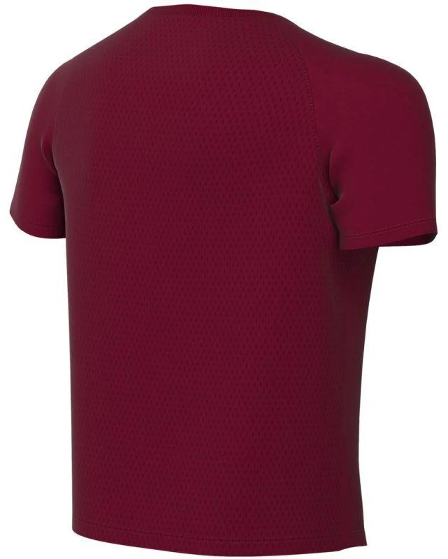 Nike Dri-Fit Park VIII Vaikiški marškinėliai Bordo HV8182 677