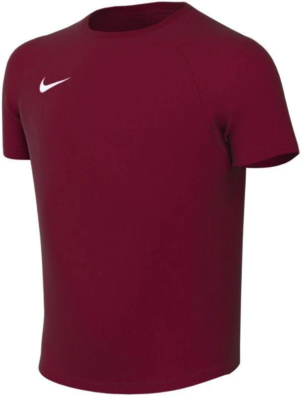 Nike Dri-Fit Park VIII Vaikiški marškinėliai Bordo HV8182 677