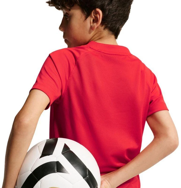 Nike Dri-Fit Park VIII vaikiški marškinėliai, raudoni, HV8182 657