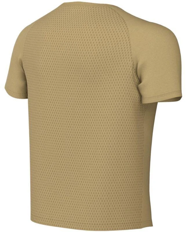Nike Dri-Fit Park VIII Vaikiški Marškinėliai Auksinės HV8182 729