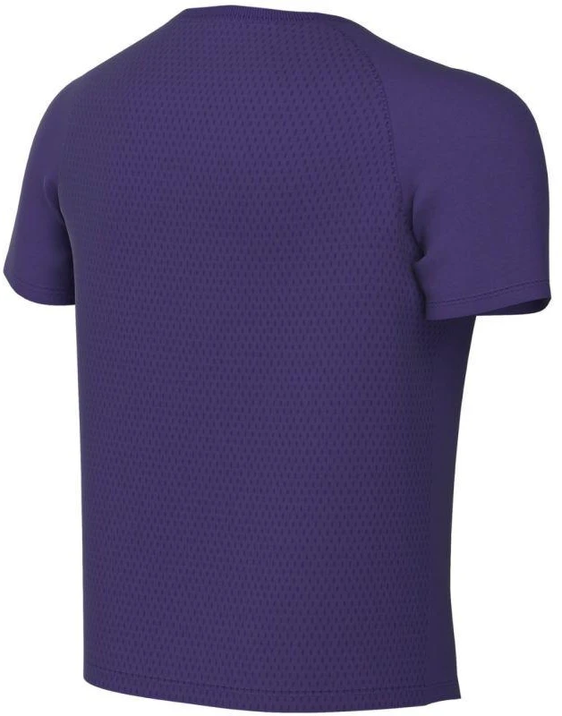 Nike Dri-Fit Park VIII Vaikiški Marškinėliai Violetiniai HV8182 547
