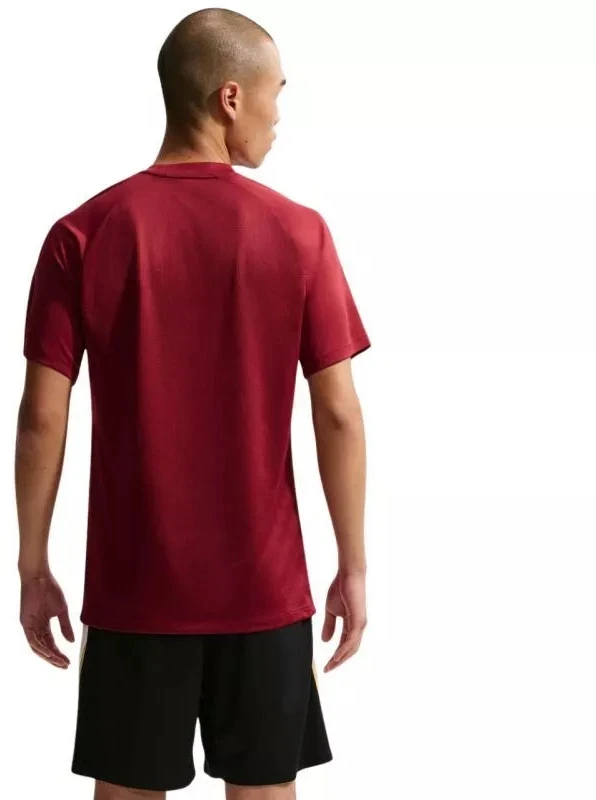 Nike Dri-Fit Park VIII Vyriški marškinėliai Bordo HV8173 677