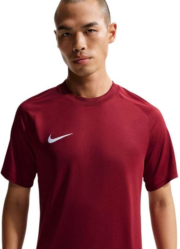 Nike Dri-Fit Park VIII Vyriški marškinėliai Bordo HV8173 677