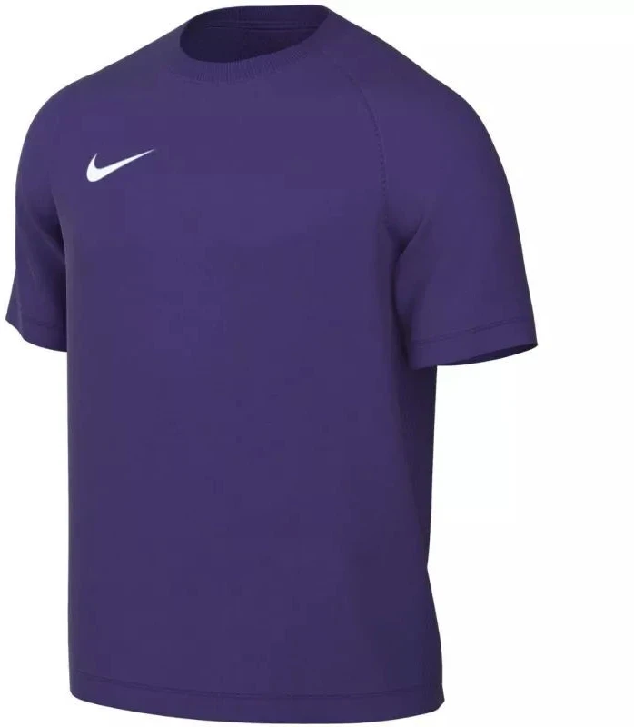 Nike Dri-Fit Park VIII Vyriški Marškinėliai Violetiniai HV8173 547