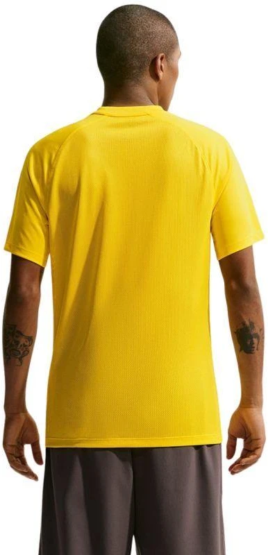 Nike Dri-Fit Park VIII Vyriški Marškinėliai Geltonos HV8173 719