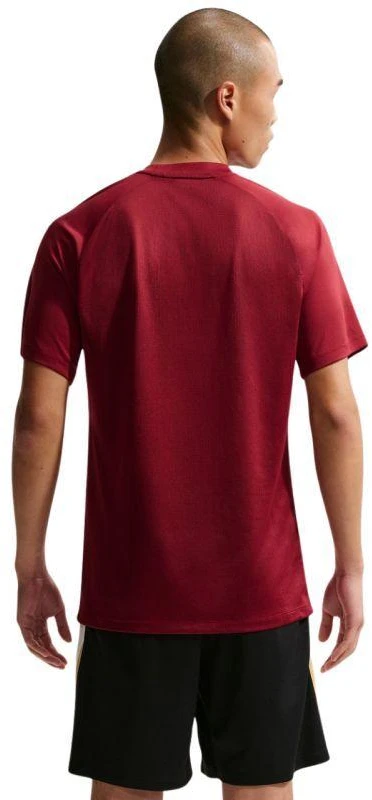 Nike Dri-Fit Park VIII Vyriški marškinėliai Bordo HV8173 677