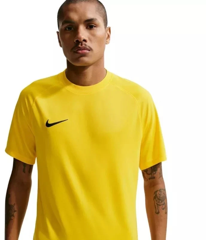 Nike Dri-Fit Park VIII Vyriški Marškinėliai Geltonos HV8173 719