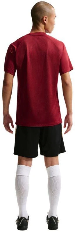 Nike Dri-Fit Park VIII Vyriški marškinėliai Bordo HV8173 677
