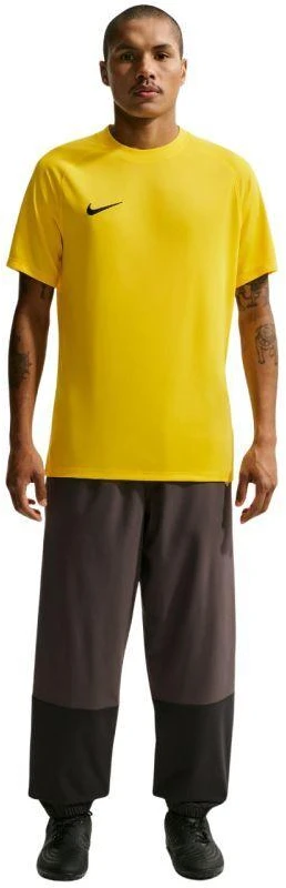 Nike Dri-Fit Park VIII Vyriški Marškinėliai Geltonos HV8173 719