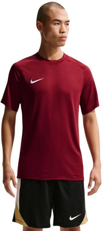 Nike Dri-Fit Park VIII Vyriški marškinėliai Bordo HV8173 677