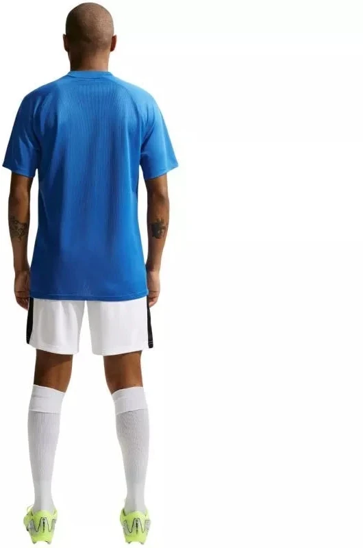 Nike Dri-Fit Park VIII Vyriški marškinėliai Mėlyni HV8173 463