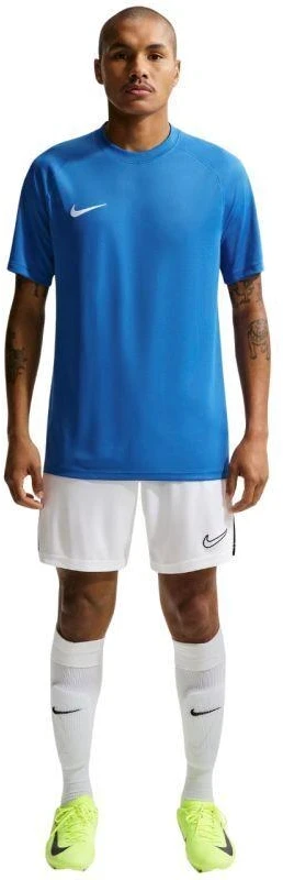 Nike Dri-Fit Park VIII Vyriški marškinėliai Mėlyni HV8173 463