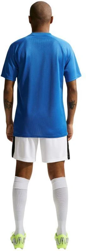 Nike Dri-Fit Park VIII Vyriški marškinėliai Mėlyni HV8173 463