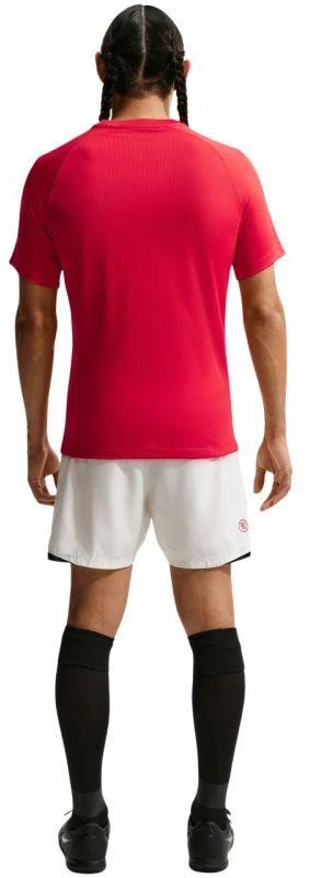 Nike Dri-Fit Park VIII Vyriški marškinėliai Raudoni HV8173 657