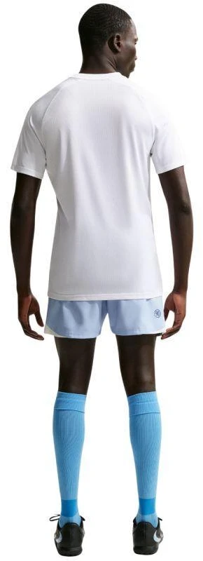 Nike Dri-Fit Park VIII Vyriški marškinėliai Balti HV8173 100