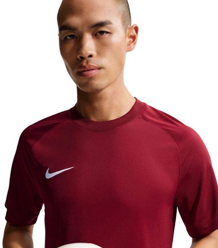 Nike Dri-Fit Park VIII Vyriški marškinėliai Bordo HV8173 677