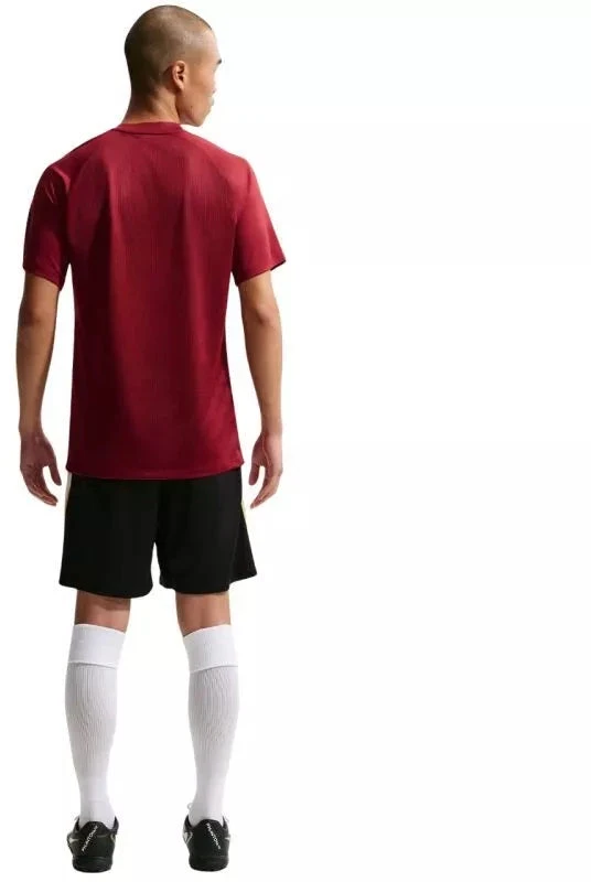 Nike Dri-Fit Park VIII Vyriški marškinėliai Bordo HV8173 677