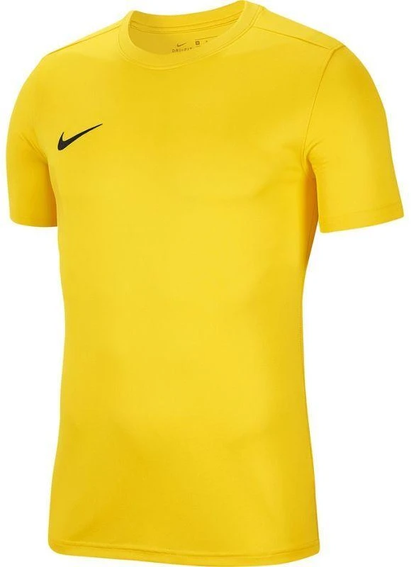 Nike Dri-Fit Park VIII Vyriški Marškinėliai Geltonos HV8173 719