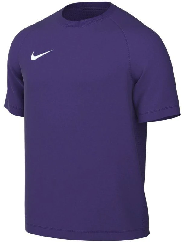 Nike Dri-Fit Park VIII Vyriški Marškinėliai Violetiniai HV8173 547