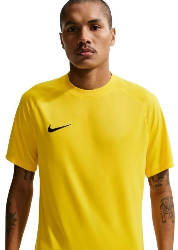 Nike Dri-Fit Park VIII Vyriški Marškinėliai Geltonos HV8173 719