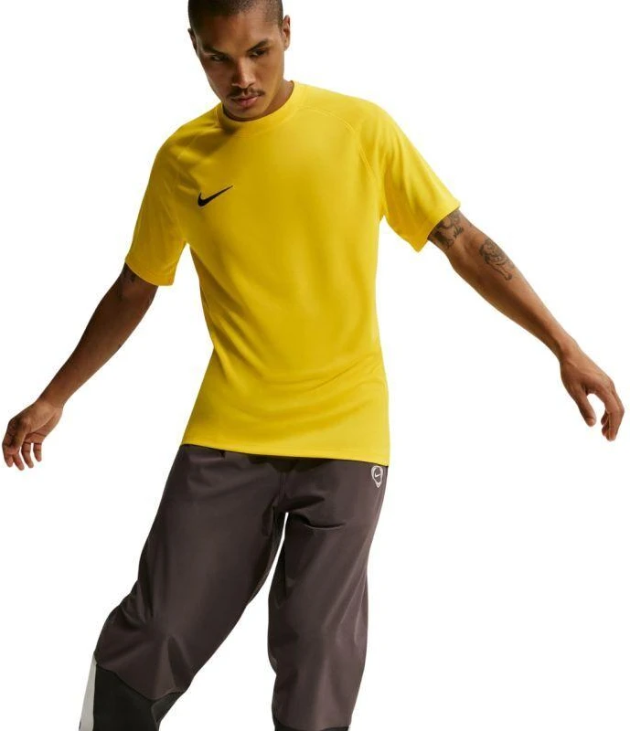 Nike Dri-Fit Park VIII Vyriški Marškinėliai Geltonos HV8173 719