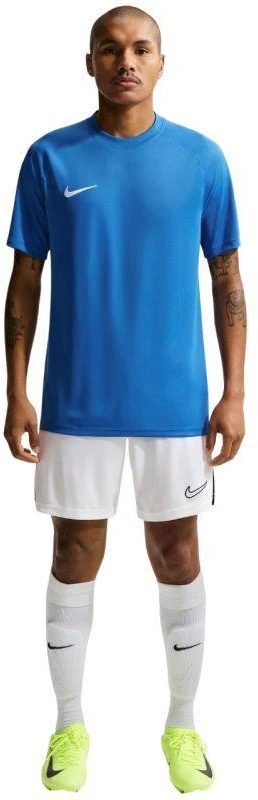 Nike Dri-Fit Park VIII Vyriški marškinėliai Mėlyni HV8173 463
