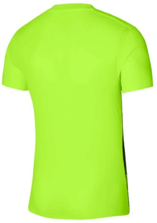 Nike Dri-FIT Precision 6 M marškinėliai DR0944-702