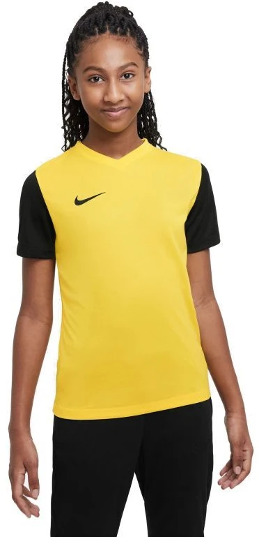 Nike Dri-Fit Tiempo Premier 2 Jr Marškinėliai DH8389-719