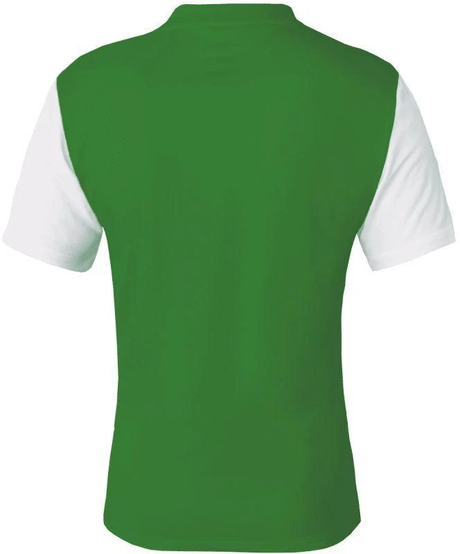 Nike Dri-Fit Tiempo Premier 2 M Marškinėliai DH8035 302
