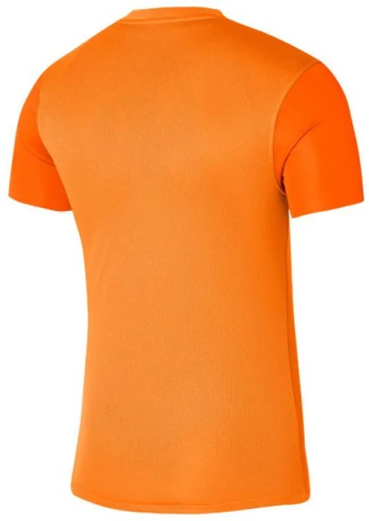 Nike Dri-FIT Trophy 5 M DR0933-819 Marškinėliai