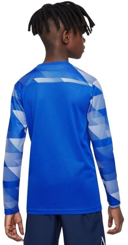 Nike Dry Park IV JSY LS GK Jr CJ6072-463