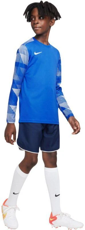 Nike Dry Park IV JSY LS GK Jr CJ6072-463