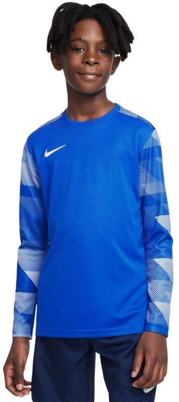 Nike Dry Park IV JSY LS GK Jr CJ6072-463