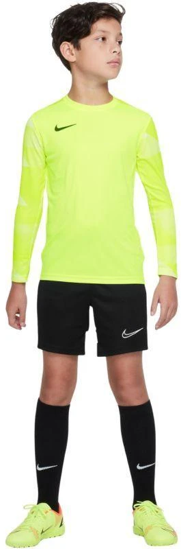 Nike Dry Park IV JSY LS GK Jr CJ6072-702 Marškiniai