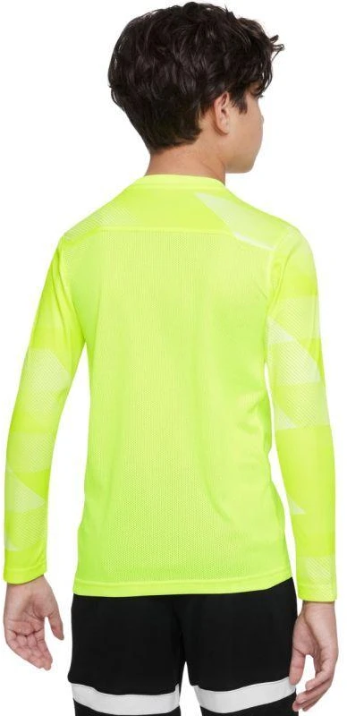 Nike Dry Park IV JSY LS GK Jr CJ6072-702 Marškiniai