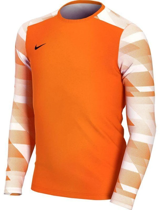 Nike Dry Park IV JSY LS GK Jr CJ6072-819