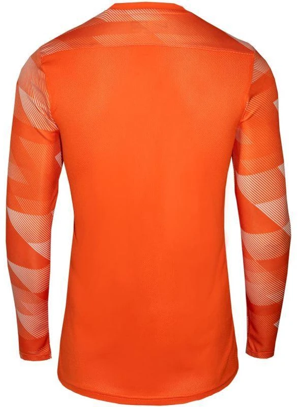 Nike Dry Park IV JSY LS GK Jr CJ6072-819