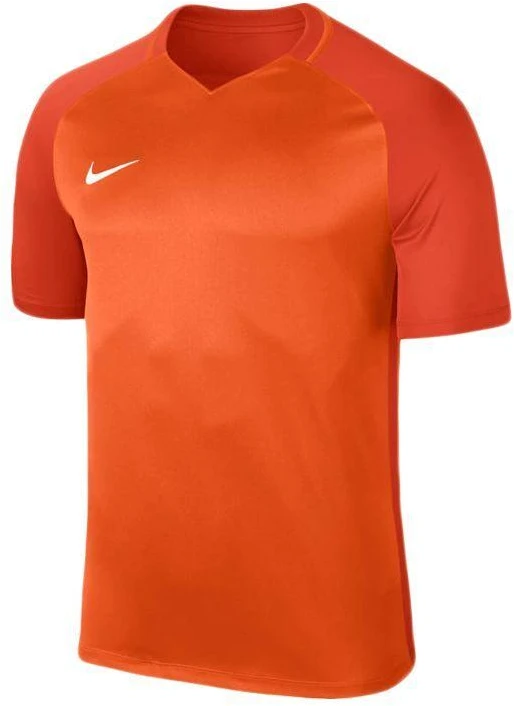 Nike Dry Trophy III marškinėliai vyrams 881483-815