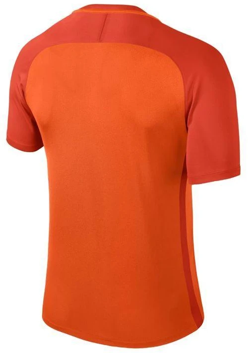 Nike Dry Trophy III marškinėliai vyrams 881483-815