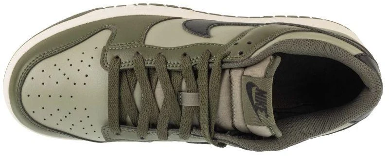 Nike Dunk Low Retro HF5441-300 Žalias 40