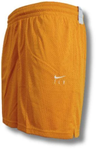 Nike Fly Essential Šortai Moterims Chutney/Balta - CU4573-712