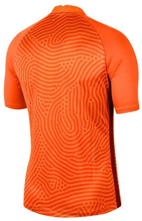 Nike Gardien III GK M BV6714-803 Vartininko marškinėliai