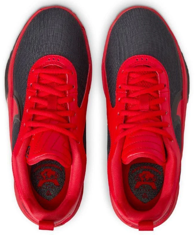 Nike Giannis Freak 6 (GS) Jr FQ7378-004 Krepšinio batai