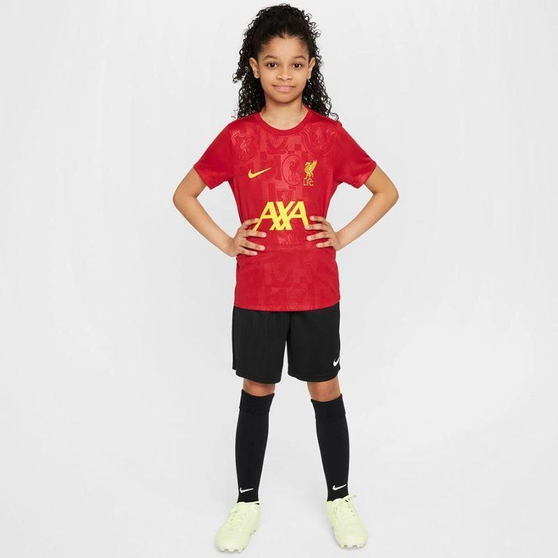 Nike Liverpool FC Academy Pro SS Top Jr FQ0013-688
