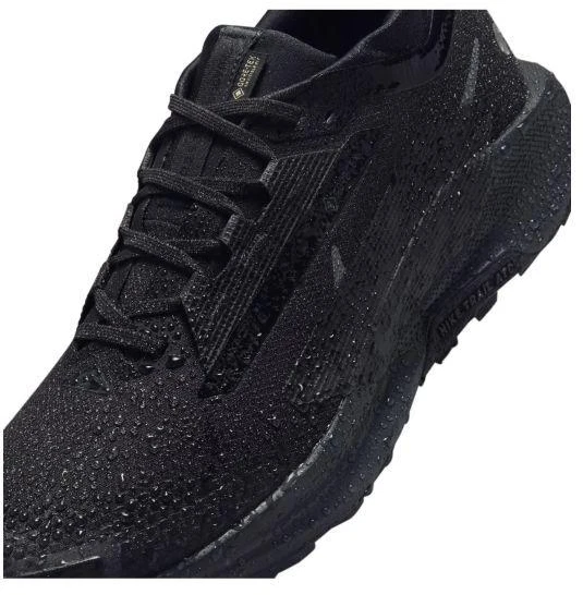 Nike Moterims REACTX PEGASUS TRAIL 5 GTX (FQ0912-002)