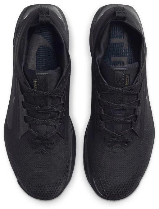 Nike Moterims REACTX PEGASUS TRAIL 5 GTX (FQ0912-002)
